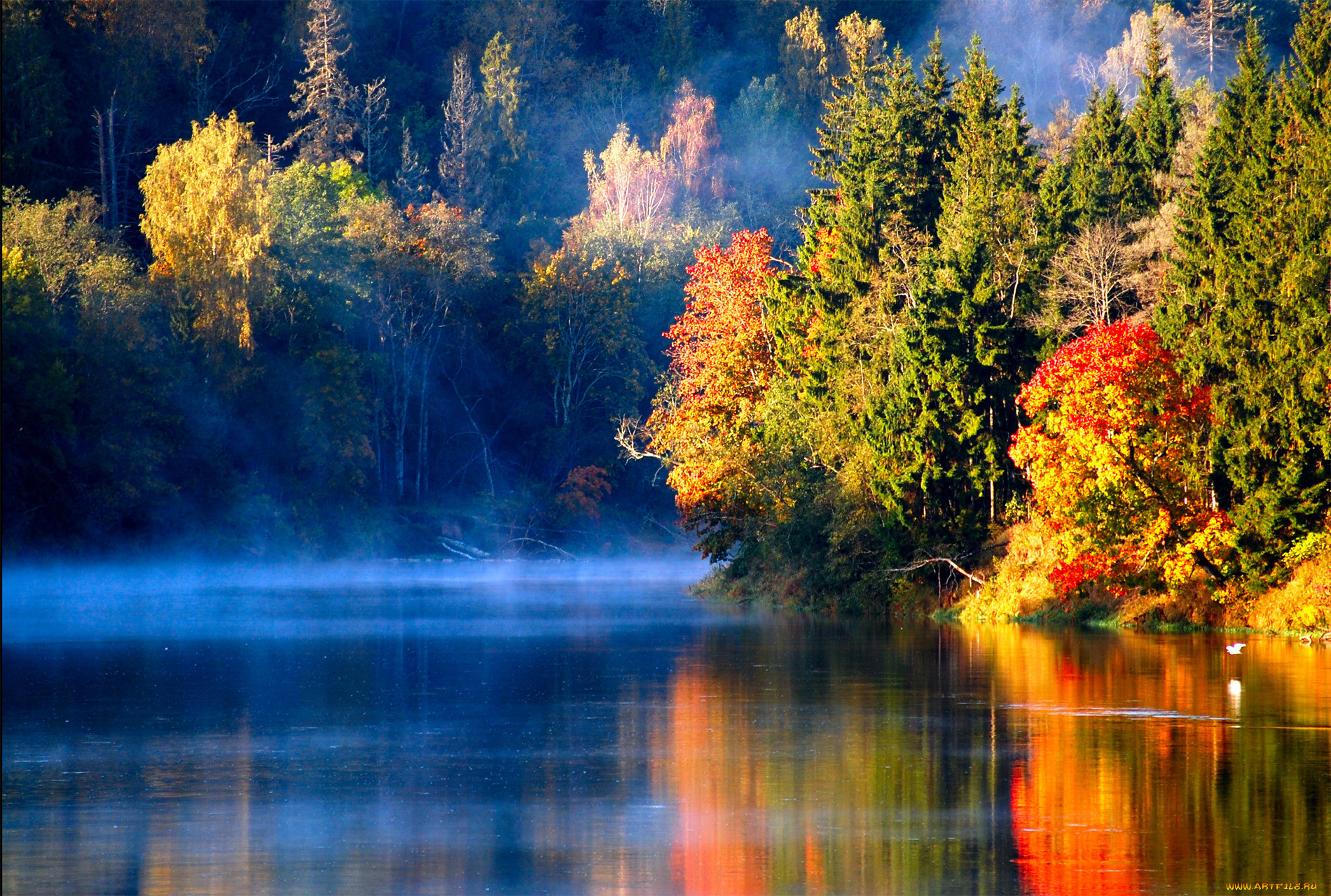 autumn, , , , , , 